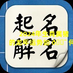 2024年生肖属猪的龙年运势如 🐯 何